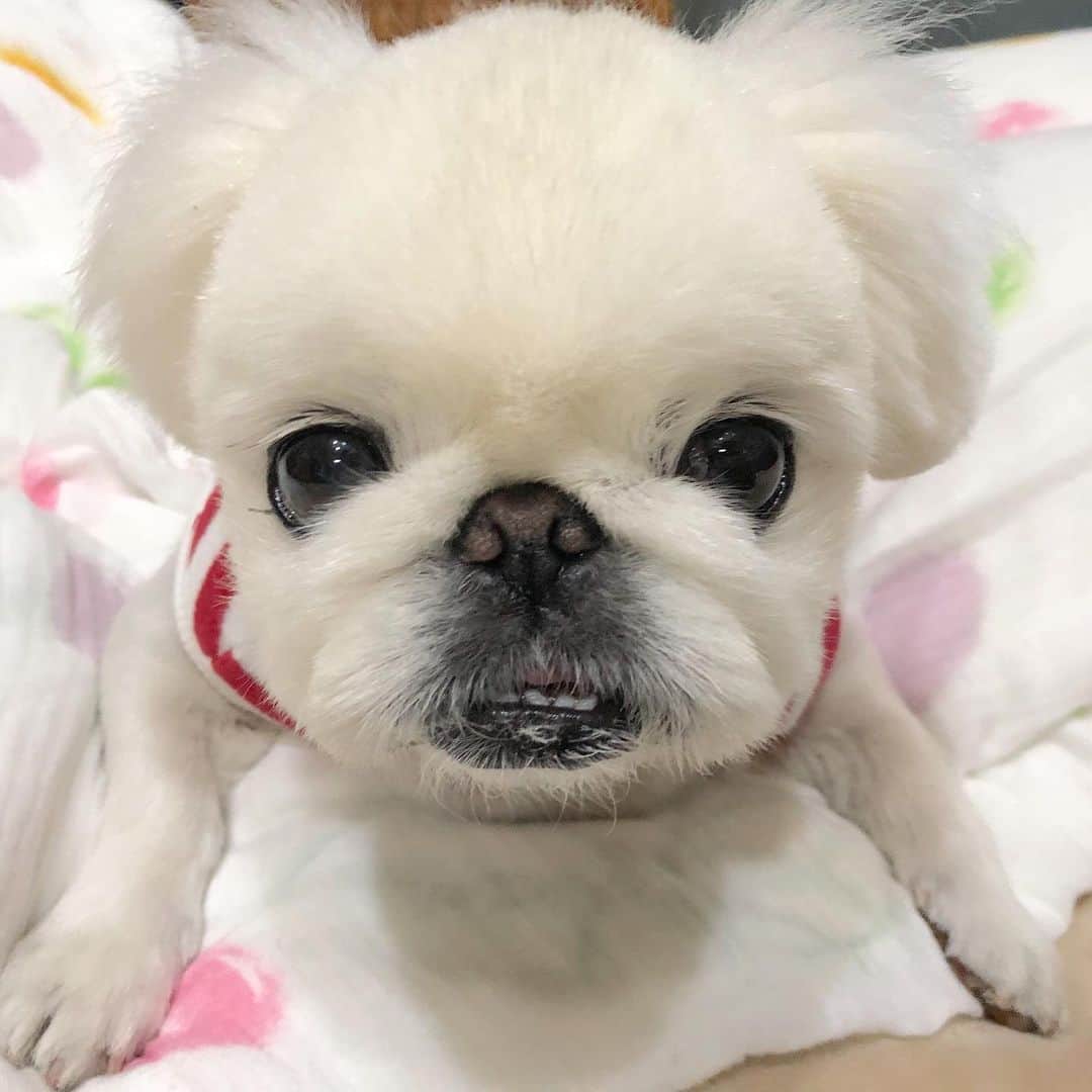 こなつのインスタグラム：「今日も一日おつかれさまでした💗💚💛💜❤️」