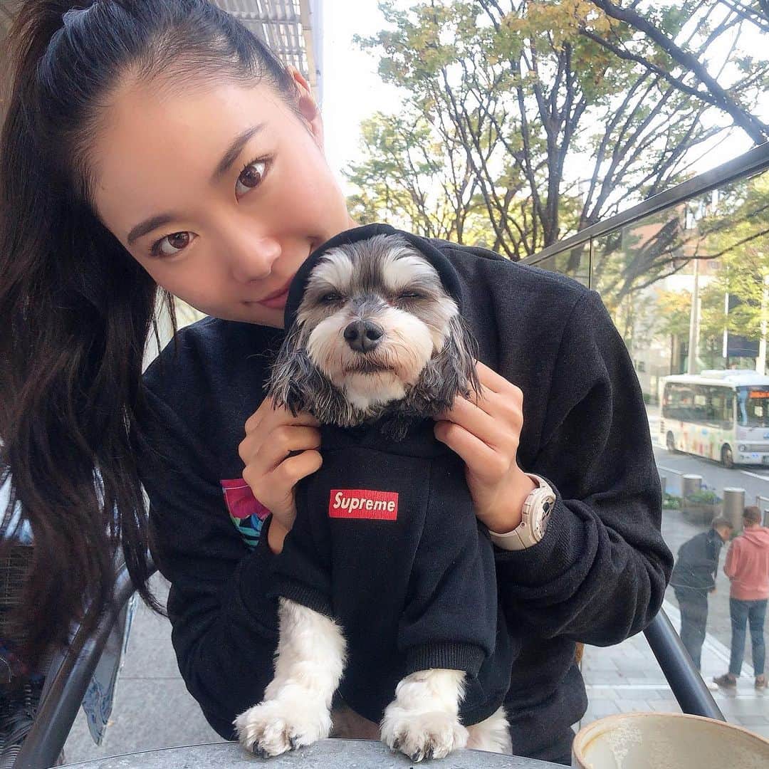 角田聖奈さんのインスタグラム写真 - (角田聖奈Instagram)「ごんちゃん🐶はやく会いたいなぁ🥺 miss u so much🥺💖💖 #ごんちゃん #手術頑張りました #沢山ハグしていい子いい子褒めてあげたい #マルダックス #ミックス犬 #biglove」11月26日 23時05分 - seina1105