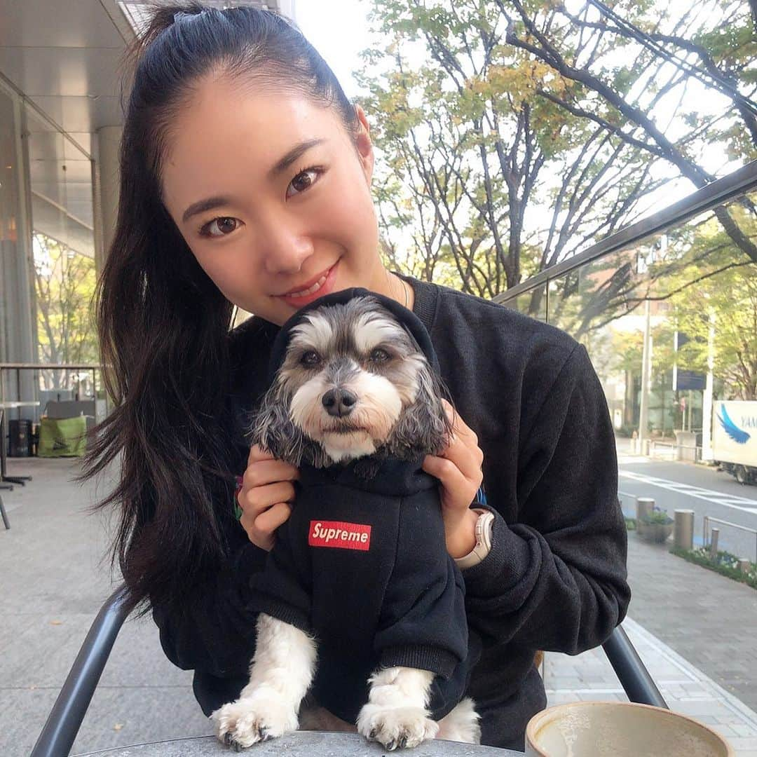 角田聖奈さんのインスタグラム写真 - (角田聖奈Instagram)「ごんちゃん🐶はやく会いたいなぁ🥺 miss u so much🥺💖💖 #ごんちゃん #手術頑張りました #沢山ハグしていい子いい子褒めてあげたい #マルダックス #ミックス犬 #biglove」11月26日 23時05分 - seina1105