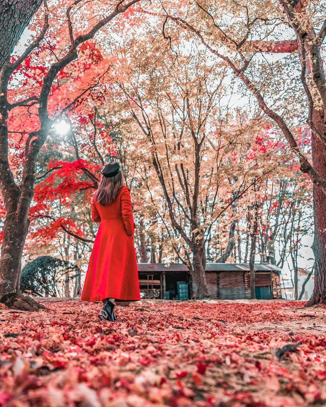 のインスタグラム：「SAVE THIS POST FOR FUTURE VISIT IN JAPAN  KOSATSU-EN atau Kosatsu Park adalah taman di area Hakodate yang menjadi daya tarik utama Hakodate, Hokkaido, ketika musim gugur. Daun2 berwarna merah dan kuning yang gugur menjadi karpet berwarna kemerahan, pohon2 yang masih penuh momiji, dan juga bangunan kayu yang menjadi khas Kosatsu En ini bahkan sampai masuk ke pamflet wisata Kakunodate  Secakep itu pas Autumn dan GA RAME dong masa. Belum banyak turis yang ke sini. Jadi bisa puas foto banyak banget, dan tamannya luas jadi ada spot2 lain juga yang bisa diraih. Dari Hakodate Downtown area bisa naik bus kok, berhenti di depan parknya, dan biasa masuknya gratis 😁」