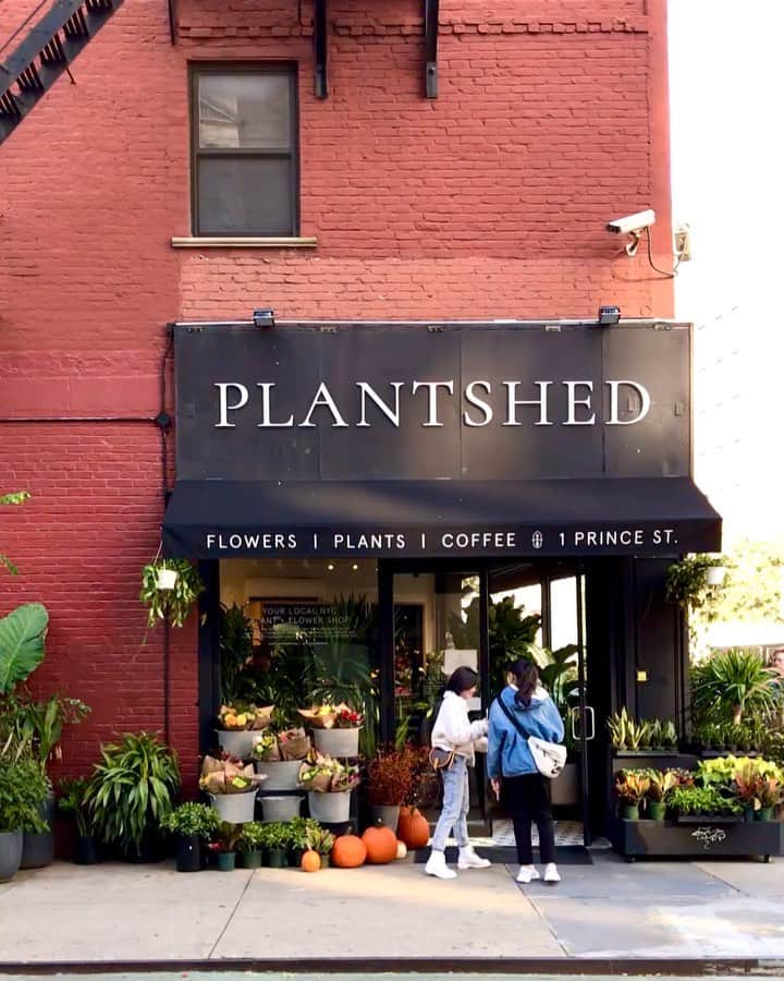 のインスタグラム：「One of the loveliest floral and coffee shop...yes...coffee shop in the city!! 😁👌🏻I also noticed they have a great selection of plants!! Are you a plant mommy or daddy? If yes, come by and check out their selections of 🌱🌵🌿! Hope you’re all enjoying the week! Happy Tuesday everyone!!! @plantshednyc . . . . . . . #facade #facadelovers #coffeecakescafe #prettycitynewyork #cafevibes #travelerinnewyork #onlyinnewyork #newyork_ig #newyork_instagram #made_in_ny #loves_nyc #what_i_saw_in_nyc #newyorkarea #timeoutnewyork #mysecretnyc #seeyourcity #coffeeshopvibes #cafehopping #thisisnewyorkcity #streeteasyfinds #nycityworld #storefrontcollective #passionpassport #trending #nyc #streetview #soho #theprettycities #streetsofnewyork #autumninnewyork」