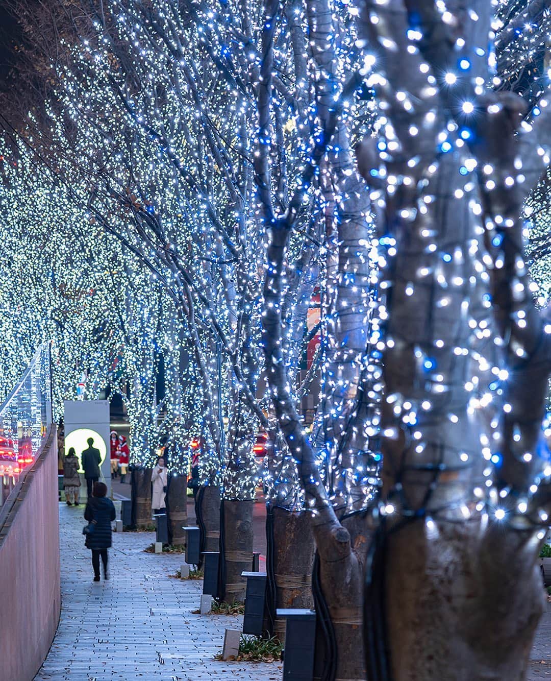 All Nippon Airwaysさんのインスタグラム写真 - (All Nippon AirwaysInstagram)「It’s a whimsical, winter wonderland all over #Tokyo! Stop by Keyakizaka street, or explore over a dozen more spots in the city, where LED lights and illumination brighten up the night sky. ✨🤩」11月26日 23時45分 - allnipponairways