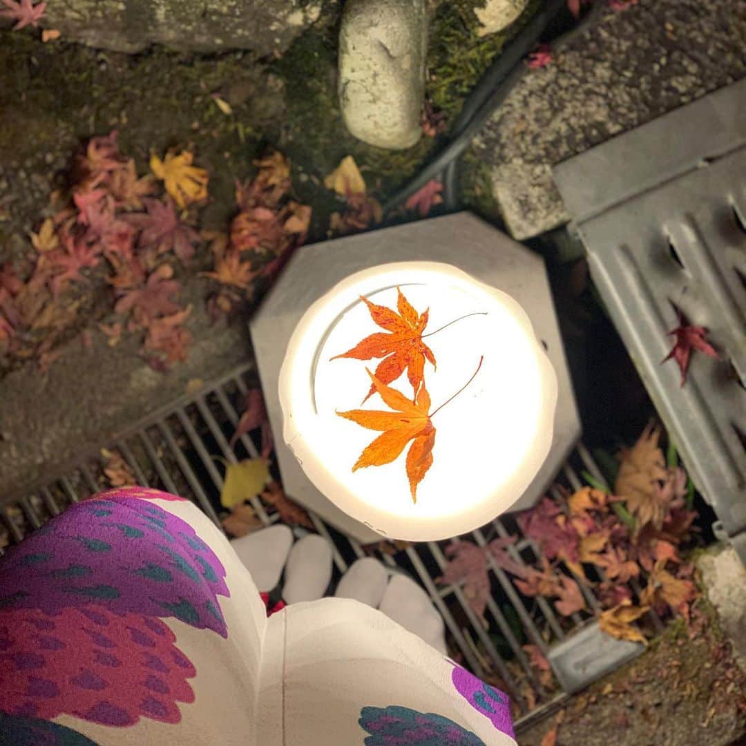 崎山一葉さんのインスタグラム写真 - (崎山一葉Instagram)「🍁🍁🍁 ・ ・  Best season of Autumn in Kyoto😍  #japan  #kyoto #紅葉  #京都 #句言 #大切なものは失わなくても気付きたい」11月27日 0時01分 - kazuha_sakiyama
