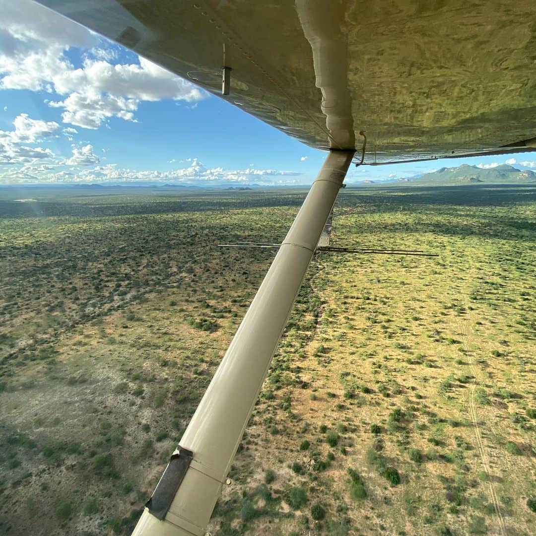 アニヤ・ルービックさんのインスタグラム写真 - (アニヤ・ルービックInstagram)「With Frank, the CEO of  @savetheelephants, and Saba  special project director tracking elephants from air today.  #knotonmyplanet #savetheelephants #conservation #elephant #elephants #kenya #africa #elephantcrisisfund 🇵🇱 Z Frankiem, dyrektorem generalnym @savetheelephants i Sabą  kierowniczką projektów specjalnych, śledzimy słonie dziś z powietrza.」11月27日 0時17分 - anja_rubik