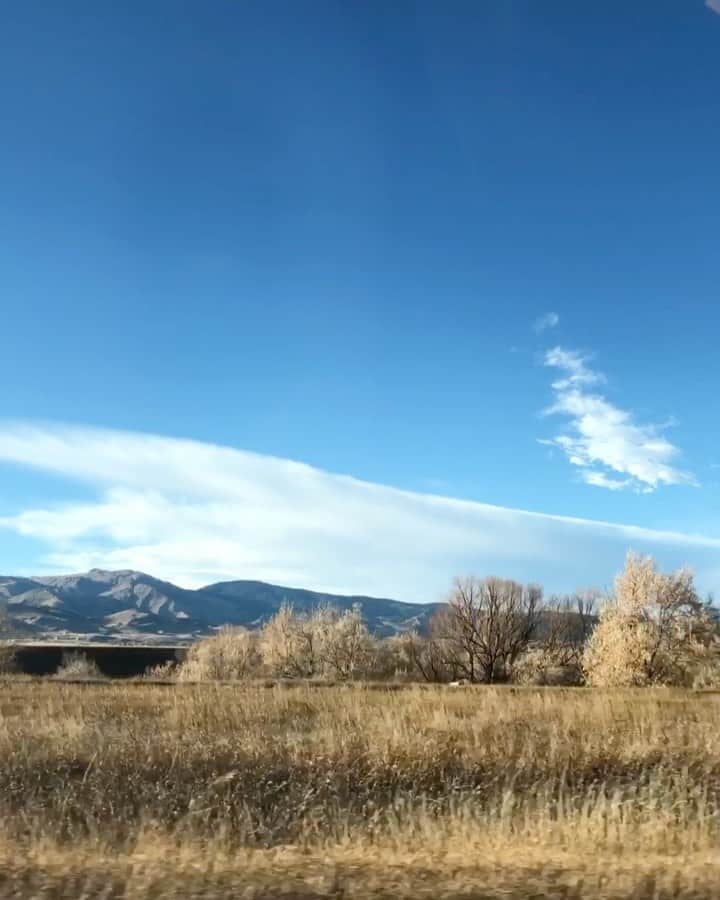 Nicole Mejiaのインスタグラム：「Taken before the big snow... I love to observe the color palette of a place when I travel. 🏔 The blues and purples of the mountains, the golds and pale greens of the valley, and the snow white kisses on the highest peaks. 🌾 These make up the shades of Colorado transitioning from Fall to Winter. - Song: Ross by Model Man」