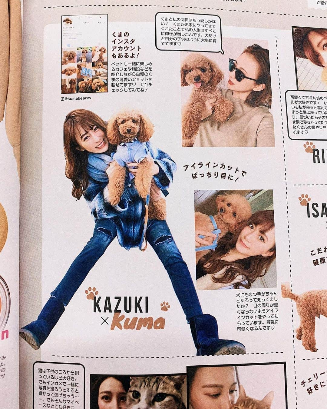 照井和希さんのインスタグラム写真 - (照井和希Instagram)「@vivi_mag_official 【ViVigirl通信】♥️♥️ KAZUKI & KUMA 愛犬との記事が掲載してます🐶 ． くまとの関係がこうして記事になったり 大好きな動物とのお仕事があるって嬉しいな。 ずっと目標だった事が叶い出してる🥰🐾 ． ． 雑誌見つけたらぜひ手に取ってみて下さい🙏🏽💕 ． ． ． #ViVi #vivigirl #インフルエンサー  #愛犬 #トイプードル #トイプードルレッド #トリミング #いぬすたぐらむ #いぬのきもち #いぬのいる生活 #いぬのいる暮らし #くま #トイプードルカット #トイプードル男の子 #toypoodle #dog #cuteanimals #puppy #mydog #myfamily #ペットok #いぬばか部#toypoodlegram #멍스타그램 #개스타그램 #반려견 #강아지 #고양이 #냥스타그 #テディベアカット」11月27日 0時51分 - kazu24ki