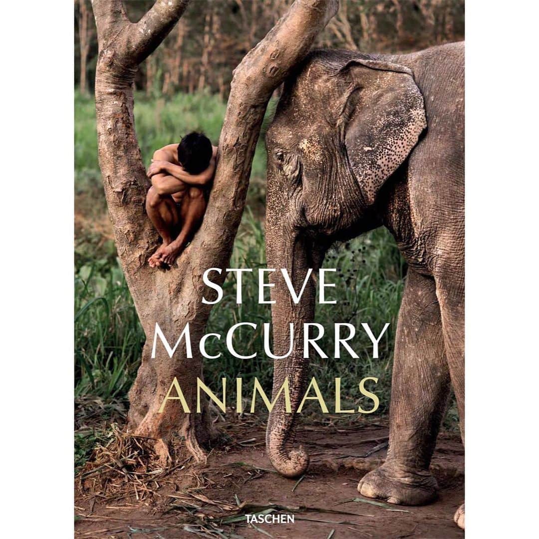 スティーブ・マカリーさんのインスタグラム写真 - (スティーブ・マカリーInstagram)「1st image: #Assam, #India, 2007. 2nd image: #Chaco, #Paraguay, 1988. 3rd image: Former Yugoslavia, 1989. 4th image: "Animals" book cover, Chiang Mai, #Thailand, 2010.  Some of these images are featured in my new book, "Animals," link in my bio to purchase.  #SteveMcCurry #SteveMcCurryAnimals」11月27日 0時57分 - stevemccurryofficial