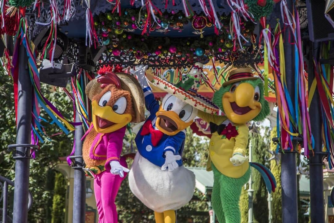 Disneyさんのインスタグラム写真 - (DisneyInstagram)「Happy Holidays, amigos! Celebrate with the Three Caballeros now at @Disneyland Resort.」11月27日 2時00分 - disney