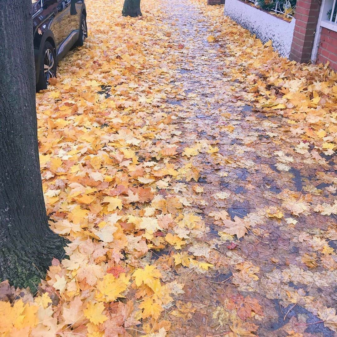 佃井皆美さんのインスタグラム写真 - (佃井皆美Instagram)「綺麗だなぁ。  #ロンドン  #イエローカーペット」11月27日 2時03分 - minamitsukui