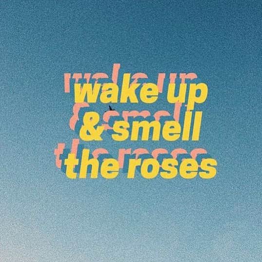 ブルーライフのインスタグラム：「rise & shine 💛✨」