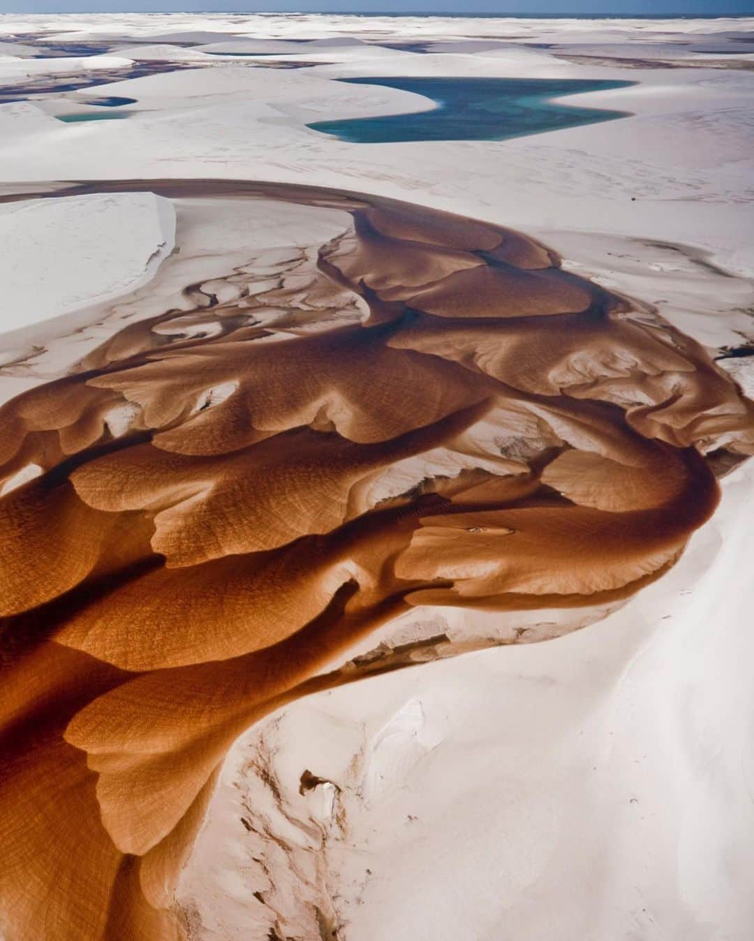 National Geographic Travelさんのインスタグラム写真 - (National Geographic TravelInstagram)「Photo by George Steinmetz @geosteinmetz | My ground crew wades through a tannin-stained river in Lençois Maranhenses National Park, Brazil. During the rainy season the hollows between the mobile dunes become lakes of freshwater, and the sands are cut by rivers flowing from the jungle to the sea. To explore more of our Earth from above, follow @geosteinmetz.」11月27日 2時25分 - natgeotravel