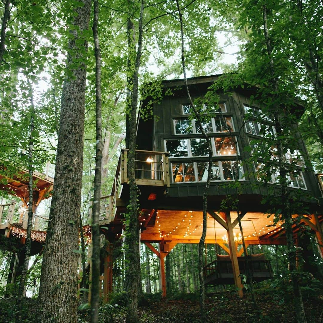 ジョーダン・ロジャースさんのインスタグラム写真 - (ジョーダン・ロジャースInstagram)「*TREEHOUSE VACATION GIVEAWAY* In the spirit of Thanksgiving, @joelle_fletcher & I want to treat one of our followers to a 2-night getaway in a dreamy, luxury treehouse at the #1 Airbnb in South Carolina!! And YOU get to nominate the winner!⁣ Tell us who you’re most thankful for this year and why they deserve an amazing vacation to rest, recharge, and reconnect. ⁣ The winner will receive a 2-night stay at Bolt Farm Treehouse in Walhalla, SC. ✨  To enter:⁣ 1. Follow: @jrodgers11 @joelle_fletcher & my friends at @boltfarmtreehouse  2. Tell us who deserves to win this unforgettable treehouse experience & share why in my comments below👇🏽 & on @joelle_fletcher & @boltfarmtreehouse profiles!  Bonus entry! Screenshot this post & share it in your story + tag the person you want to nominate along with @jrodgers11 @joelle_fletcher & @boltfarmtreehouse so we can see it!  WE ARE SO THANKFUL FOR ALL OF OUR AMAZING FOLLOWERS, EACH AND EVERY ONE OF YOU!!!」11月27日 3時49分 - jrodgers11