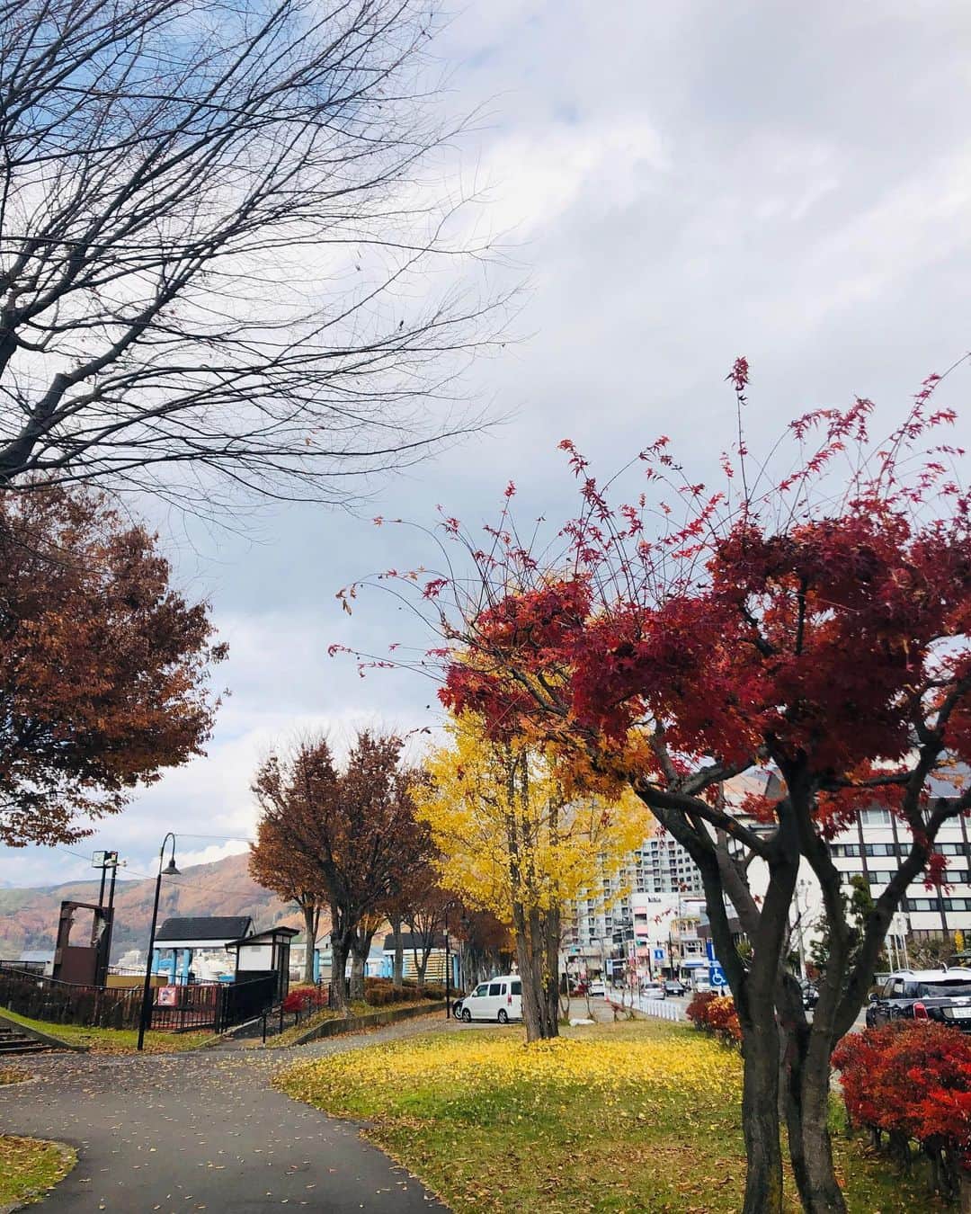 原日出子さんのインスタグラム写真 - (原日出子Instagram)「食後のお散歩💖 暖かくて とても気持ちがいいです👍 #芝居の旅 #上諏訪 #お散歩」11月27日 14時18分 - hara_hideko