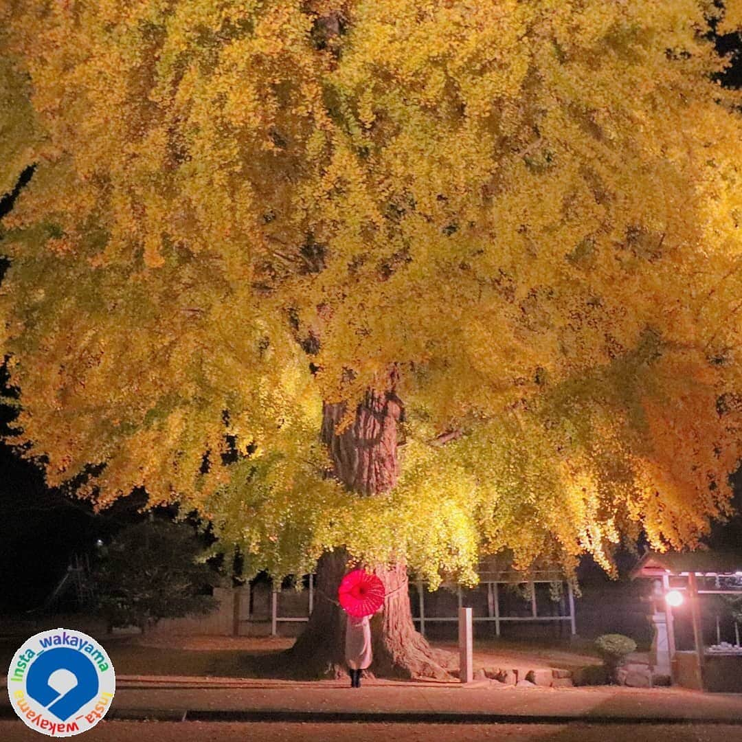 和歌山県のインスタグラム