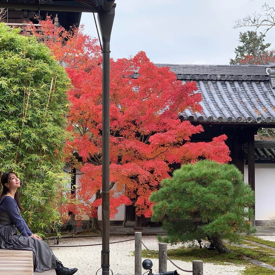 崎山一葉さんのインスタグラム写真 - (崎山一葉Instagram)「南禅寺🍁  大きな構えは、門です。  #japdn #kyoto  #京都 #紅葉」11月27日 15時24分 - kazuha_sakiyama