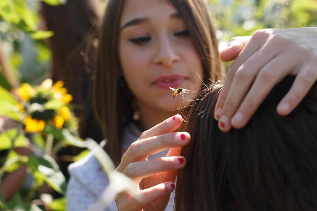 ナショナルジオグラフィックさんのインスタグラム写真 - (ナショナルジオグラフィックInstagram)「Photo by Amber Bracken @photobracken | Jocelyn Weinbender, 14, helps free a bee from her friend's hair. Jocelyn is part of a school-based sustainable food program in Lacombe, Canada, that helps kids learn to grow food. Through the year there is hands-on learning with a fish farm, garden, geodesic dome, and bee hives. #youthforclimate #savethebees #eatlocal #thinkglobalactlocal」11月27日 6時34分 - natgeo