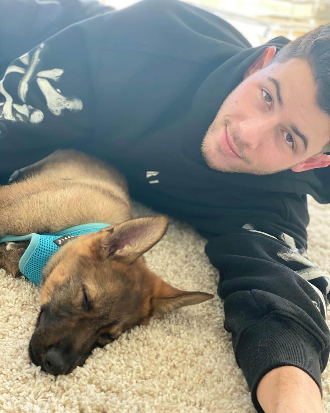 ニック・ジョナスさんのインスタグラム写真 - (ニック・ジョナスInstagram)「Pri came home with the absolute  best surprise this morning. Please meet our new pup @ginothegerman I  haven’t stopped smiling since I woke up this morning and finally realized what was going on. Thank you @priyankachopra ❤️ 🐕」11月27日 6時55分 - nickjonas