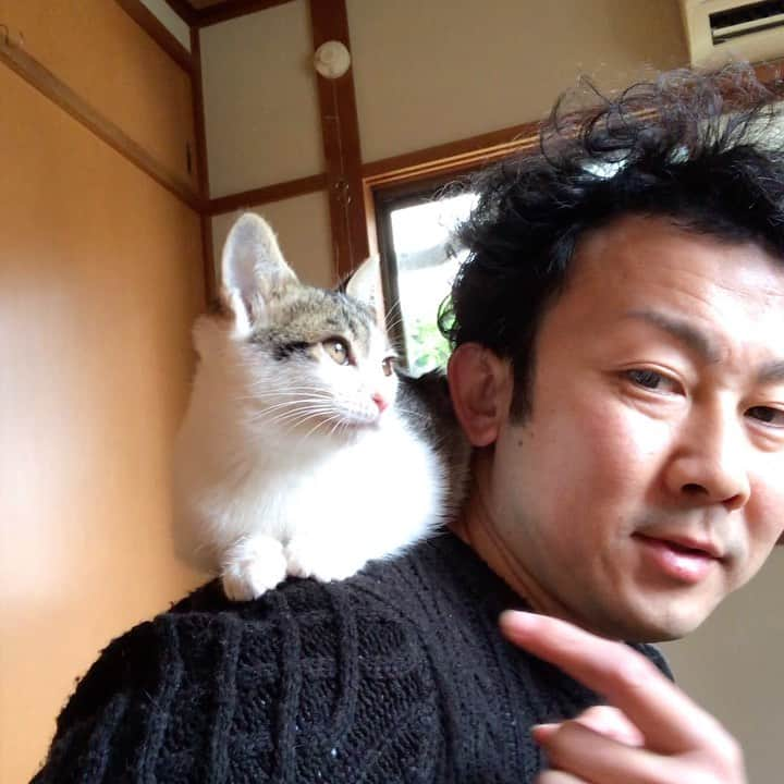 猫カフェきぶん屋のインスタグラム