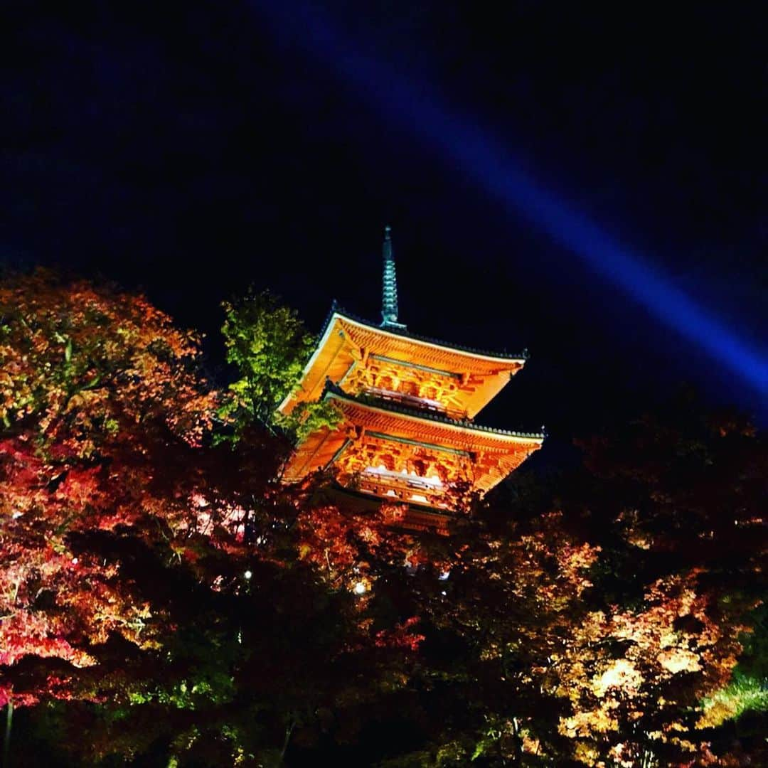 木佐貫まやさんのインスタグラム写真 - (木佐貫まやInstagram)「Feeling the autumn in the beautiful nature. Love Japan because I can enjoy four seasons in one year. Thanks for great memories Kyoto 🇯🇵🏯❤️. ちゃーんと紅葉を見たのは初めてかもっ！日本って1年で4つの季節を味わえるからいいよね✌️景色もファッションも気温もっ 自然って素晴らしい！！！🍁🍂 4枚目のはちなみに保津川で川下りをした〜👏🎶」11月27日 8時52分 - maaayaofficial