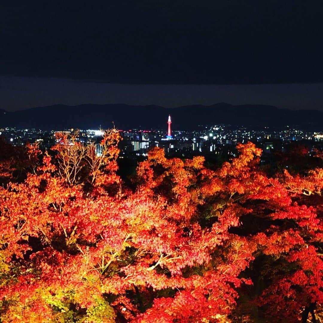 木佐貫まやさんのインスタグラム写真 - (木佐貫まやInstagram)「Feeling the autumn in the beautiful nature. Love Japan because I can enjoy four seasons in one year. Thanks for great memories Kyoto 🇯🇵🏯❤️. ちゃーんと紅葉を見たのは初めてかもっ！日本って1年で4つの季節を味わえるからいいよね✌️景色もファッションも気温もっ 自然って素晴らしい！！！🍁🍂 4枚目のはちなみに保津川で川下りをした〜👏🎶」11月27日 8時52分 - maaayaofficial