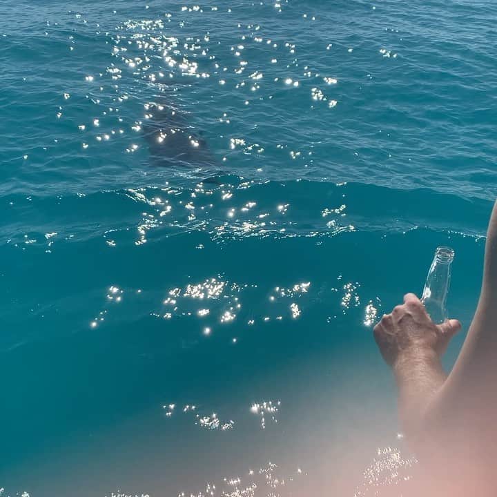アレックス・ウッドのインスタグラム：「Happy Thanksgiving! Family over everything. #turksandcaicos #glacier #water」