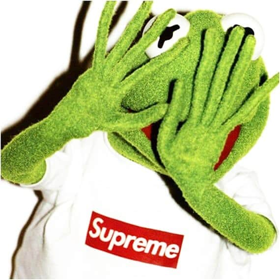 takuma watanabeさんのインスタグラム写真 - (takuma watanabeInstagram)「@supremenewyork  #Kermit」11月27日 9時23分 - takumagram