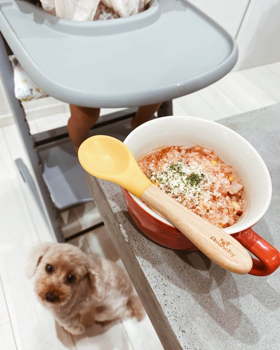 孫きょうさんのインスタグラム写真 - (孫きょうInstagram)「𝒢ℴℴ𝒹 𝓂ℴ𝓇𝓃𝒾𝓃𝒢﻿ ﻿ 我が家の朝の光景🥣﻿ 手軽に楽をしたい日はクノール®カップスープで朝マグにハマってるんだぁ😋今日はトマトのポタージュでリゾット🍅🍅﻿ ﻿ レシピっていうほどでもないくらい簡単！﻿ コーン🌽小さく切ったベーコン🥓クノールのトマトポタージュを器に入れて、お湯を通常より"少なめ"に入れて最後にご飯を入れるだけ🍚仕上げに粉チーズをお好みで🧀﻿ ﻿ お湯少なめだと通常よりリゾットに近い固めの感じになるから、あんちゃんも自分で食べやすくパクパク食べてくれるよ🥰ロコはいつもあんちゃんのチェア下で落ちるの狙って待機してる🐶﻿ ﻿ @ajinomoto.co.jp﻿ #朝マグ #たべてこ朝マグ #クノール #カップスープ #味の素 #朝ごはん #時短レシピ #PR﻿」11月27日 9時26分 - sonkyou1013