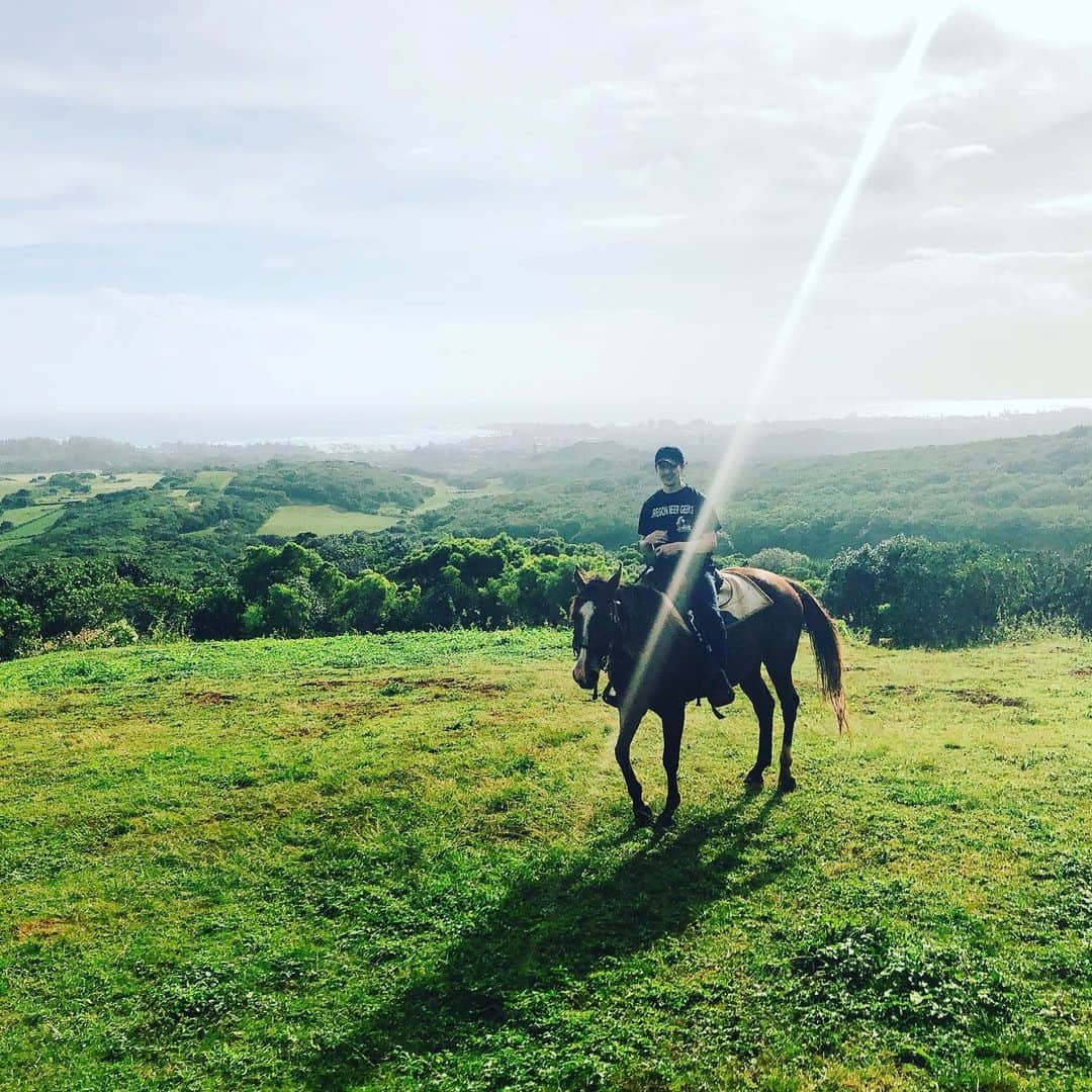 内田滋さんのインスタグラム写真 - (内田滋Instagram)「やはり、乗るよね、馬は。 ガンストック牧場まで1時間以上、車を走らせて、乗馬をば。 出迎えてくれた、kaiiさん。 キュートで、優しくて、途中途中、実がなっているものを食べさせてくれたり、凄く楽しいライドでした。 ほんと、ありがとう^_^ いやー、素晴らしいロケーションだったなぁ。 kaiiさんが教えてくれたsanset beach、sunrise shackによってから、ノースショアにも行ったよ。 で、ワイキキ戻ってきてテイクアナップw なんか、ものすごい時間を旅した気分。不思議。  うわー、ハワイ！ #horsebackriding  #kaii #楽しかった〜」11月27日 9時51分 - shige_uchida