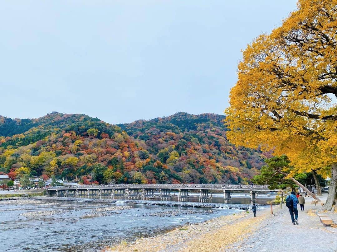 大後寿々花さんのインスタグラム写真 - (大後寿々花Instagram)「嵐山がカラフルで可愛くなってる🥰✨ #arashiyama #kyoto #autumn #🍁」11月27日 15時46分 - suzuka_ohgo
