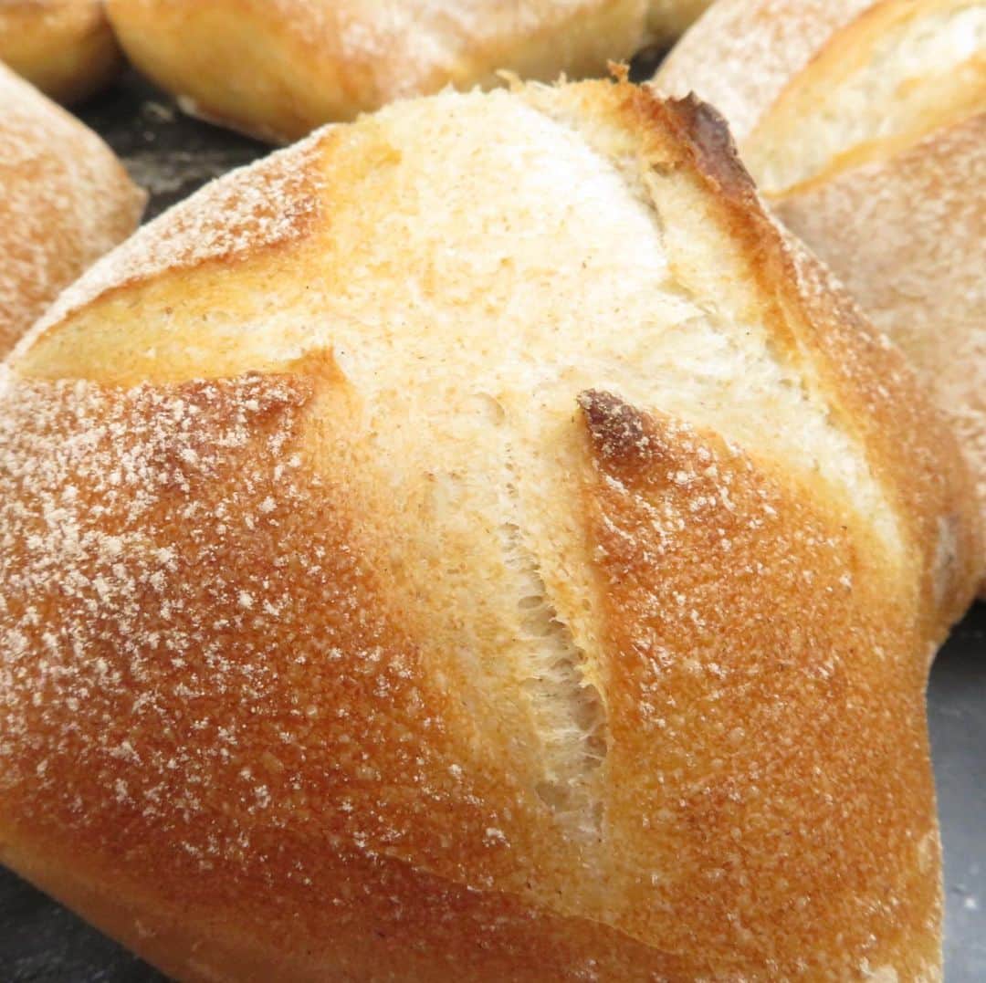 魔女菅原のグルメインスタ