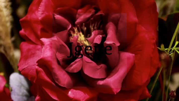 のインスタグラム：「ㅤㅤㅤㅤㅤㅤㅤㅤㅤ 🌹🌹🌹 ㅤㅤㅤㅤㅤㅤㅤㅤㅤ  @jgene_official  Laforet POPUPSTOREを終えて…🙇‍♀️ ㅤㅤㅤㅤㅤㅤㅤㅤㅤ  ㅤㅤㅤㅤㅤㅤㅤㅤㅤ  Instagramの機能で数年前の投稿を 何年前ですと教えてくれる機能がありますが  ふと、先日現れたのがJgene 1stLOOK撮影の投稿でした🥰 ちょうど1年前です。  皆様に発表できる前の企画段階から考えるともっと昔ですが 皆様に発表する事ができ、ブランドスタートと正式に発表してから約1年が経ち  1年の集大成としてラフォーレでのPOPUPを終えて、  普段中々伝える事のできなかった感謝の気持ちを長くなってしまうのですがここに残させて頂きます🙇‍♀️。 ㅤㅤㅤㅤㅤㅤㅤㅤㅤ ㅤㅤㅤㅤㅤㅤㅤㅤㅤ アパレル販売員などの経験はあったものの はじめてのデザインやオンラインストアでの販売など…  わたしの感性を最大限尊重してくれて 応援してくれたJgeneの鞄製作を依頼している 鞄メーカーさん。(皆さん鞄業界40年選手の凄い方々。) (はじめはこの鞄メーカーで働いてるわたしの父の紹介で皆さんとお会いするようになりました。) ㅤㅤㅤㅤㅤㅤㅤㅤㅤ ここまで二人三脚でJgeneに携わってくれた 鞄OEM会社でJgeneを担当してくださった 皆さんにもおなじみ、なんでもこなす 器用なこうちゃん(上沢さん)  POPUPや展示会をするとなれば 駆けつけてくれた、たくさんの友人やフォロワー様達  撮影に協力してくれたフォトグラファーさんや ビデオグラファーさん、モデルさん、ヘアメイクさん  インスタをいつもチェックしてくれている皆様 Jgeneを使ってくれてる皆様  本当にたくさんの方々のおかげで 今こうしてスタートしてから1年経った今でも わたしの夢でもあったブランドを続ける事ができており、 ㅤㅤㅤㅤㅤㅤㅤㅤㅤ ここには書ききれないくらい 伝えきれないくらい  ㅤㅤㅤㅤㅤㅤㅤㅤㅤ  感謝の気持ちでいっぱいです。  ㅤㅤㅤㅤㅤㅤㅤㅤㅤ  これからもこんなわたしではありますが たくさん努力して成長していきたいと 思っておりますので、ブランド共々 よろしくお願い致します🙇‍♀️✨ ㅤㅤㅤㅤㅤㅤㅤㅤㅤ  #Jgene #ジェイジーン #ラフォーレ原宿 #ラフォーレ #Laforet #laforetharajuku #原宿POPUP #POPUPSTORE」