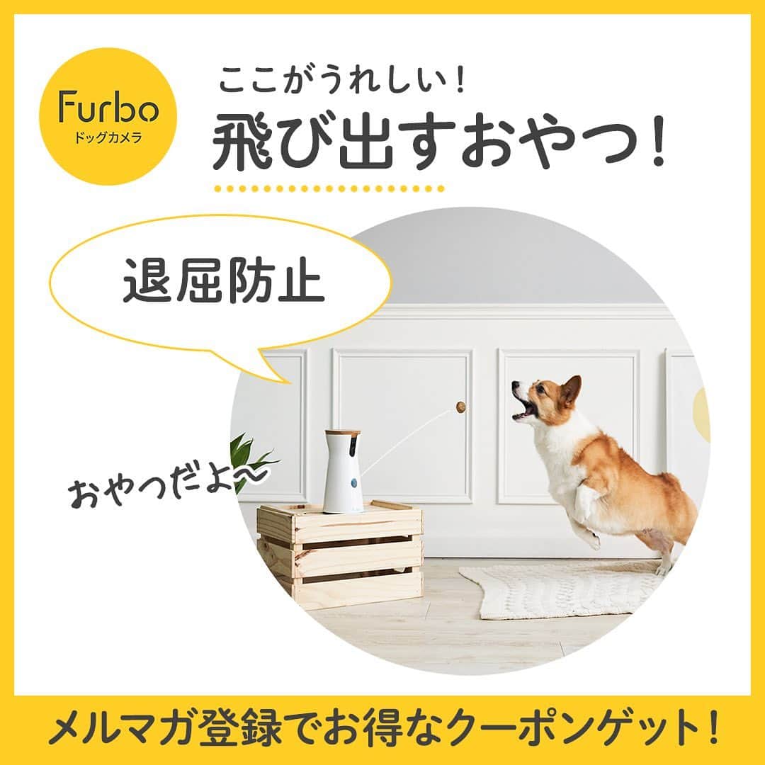 Furbo ドッグカメラさんのインスタグラム写真 - (Furbo ドッグカメラInstagram)「「ママ見て！！できたよ！（おやつちょうだい♡）」⁠⠀ ⁠⠀ FurboのBlack Friday SALE間もなく終了！⁠⁠⠀ 今だけ9,500円OFF😍⁠⠀ @furbo_japan⁠のプロフィールURLから購入すると更に1,000円OFF、お見逃しなく！⁠⠀ ⁠⠀ ⁠⠀ ⁠⠀ Furboはお留守番中の愛犬を見たり、話しかけたり、おやつもあげられる高機能ドッグカメラです。⁠⠀ 世界10か国で販売されているベストセラー商品です。⁠⠀ ⁠⠀ スマホ、タブレットの専用アプリを通して、お留守番している愛犬と繋がることができます。⁠⠀ ⁠🎥：　@missyminzi⁠⠀ ⁠⠀ ⁠⠀ ⁠#BLACKFRIDAY　#ブラックフライデー　#ブラックフライデーセール⁠⠀ ⁠⠀ #愛犬との暮らし #お留守番犬 #お留守番カメラ #ドッグシッター #furbo #ファーボ⁠⠀ #犬ばか部 #わんすたぐらむ #犬との暮らし」11月27日 12時05分 - furbo_japan