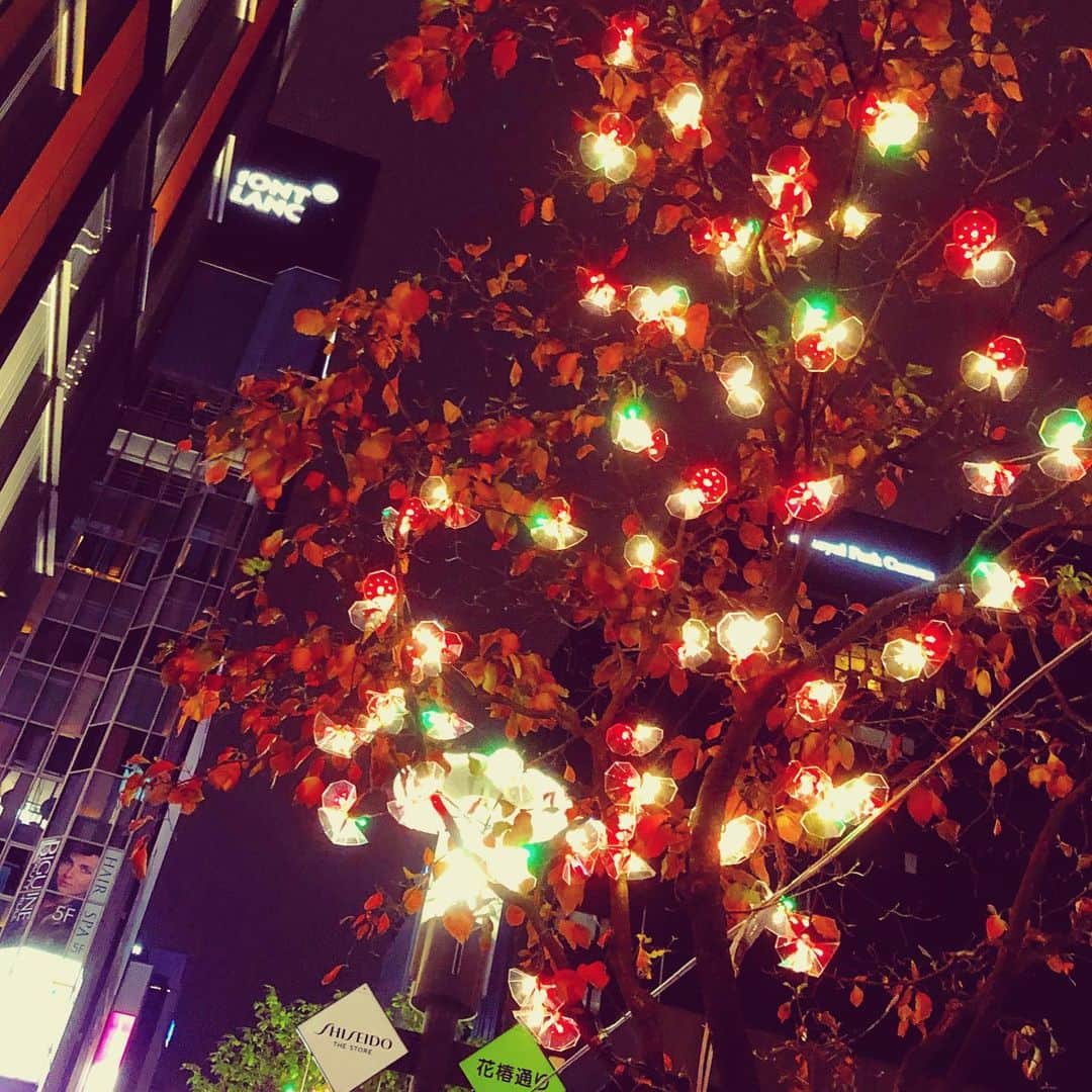 藤田朋子さんのインスタグラム写真 - (藤田朋子Instagram)「#銀座七丁目 #イルミネーション #クリスマスカラー #アイディア #可愛い #クリスマス🎄 #寒くなって来たね」11月27日 12時22分 - chiendormant