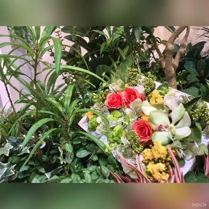 横浜ディスプレイミュージアムのインスタグラム：「〜11月のYouTube〜  人気のフラワーピックを使用してフラワーウォールを作りました🌼 ・ ワイヤリング不要のフラワーピック 時短で素敵なアレンジメントが出来ちゃいます♪ ・ ・ YouTubeにて動画配信中 ・ https://youtu.be/1CGpoozGoyY 画面をタップして頂きますと、HPから動画サイトまですぐにご覧いただけます。 ・ ・ ・ 「作り方のコツ」や「商品のオススメポイント」などを、店内スタッフがアレンジから動画まで手づくりしました(^^) ・ ・  今後も定期的に配信予定です！ 次回もお楽しみに♪ ・ ・ ・ #横浜ディスプレイミュージアム #株式会社ポピー #横浜 #ディスプレイ#アーティフィシャルフラワー #フラワーアレンジメント#インテリア雑貨#インテリア#空間演出#インテリアコーディネート #ホームステージング #花のある暮らし #display#yokohama #artficialflower #flowerarrangement #interiordesign #ぷれ花嫁 #プレ花嫁  #花屋 #お花屋さん #フラワーウォール #壁面アレンジ #フラワーピック #green #グリーン #壁面緑化」