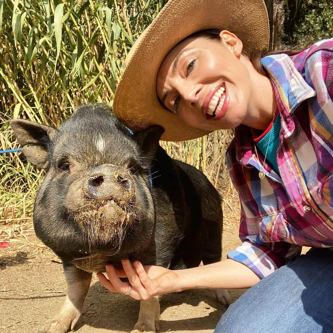 ウィットニー・カミングスさんのインスタグラム写真 - (ウィットニー・カミングスInstagram)「I haven’t posted a picture of myself with a pig in a while so just wanted to post this so y’all know that I still personally run my account.」11月27日 12時40分 - whitneycummings