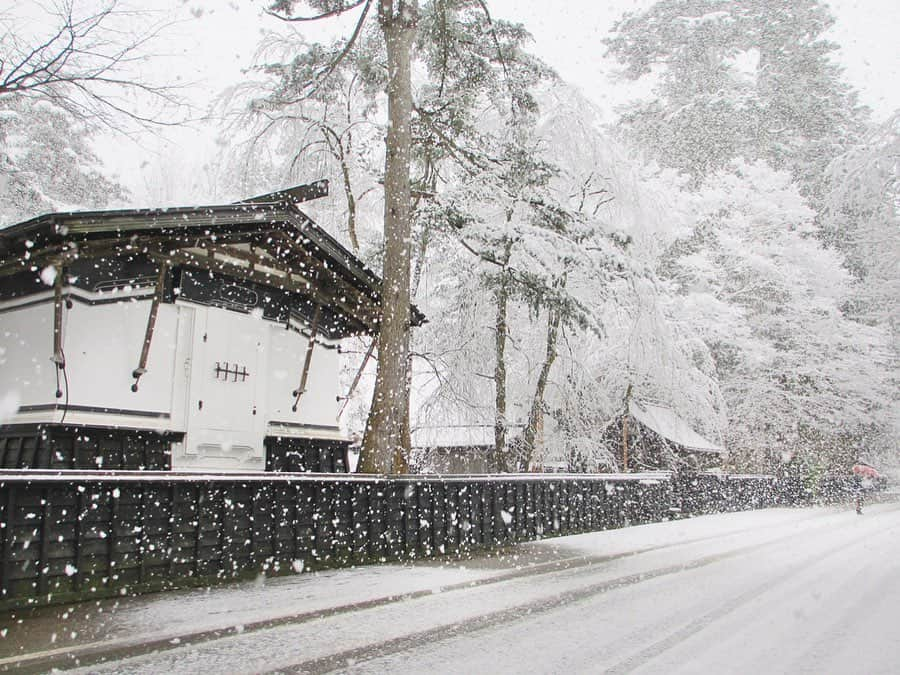 東北女子さんのインスタグラム写真 - (東北女子Instagram)「⠀ 小京都❄️角館的冬天 ⠀ 從櫻花到楓葉都非常美的角館 到了冬天，被雪覆蓋的武家屋敷更為浪漫🥰 ⠀ 寒冷的季節也有溫暖的祭典 2月14日的火振祭 在雪中甩1公尺長的火繩的景象令人震撼👍 ⠀ 相關資訊 @kakunodate.kanko  @semboku_tourism . ⠀  #秋田 #仙北 #仙北市 #角館 #日本 #東北 #日本東北  #火振りかまくら #日本生活 #日本旅遊 #秋田趴趴走 #秋田縣 #下雪  #行くぜ東北 #冬がたり #秋田雪 #冬の東北 #日本雪景 #あきたびじょんた #雪景 #kakudate #冬のごほうびインスタキャンペーン #akita #照片非今年照片」11月27日 12時59分 - tohoku_girl_official