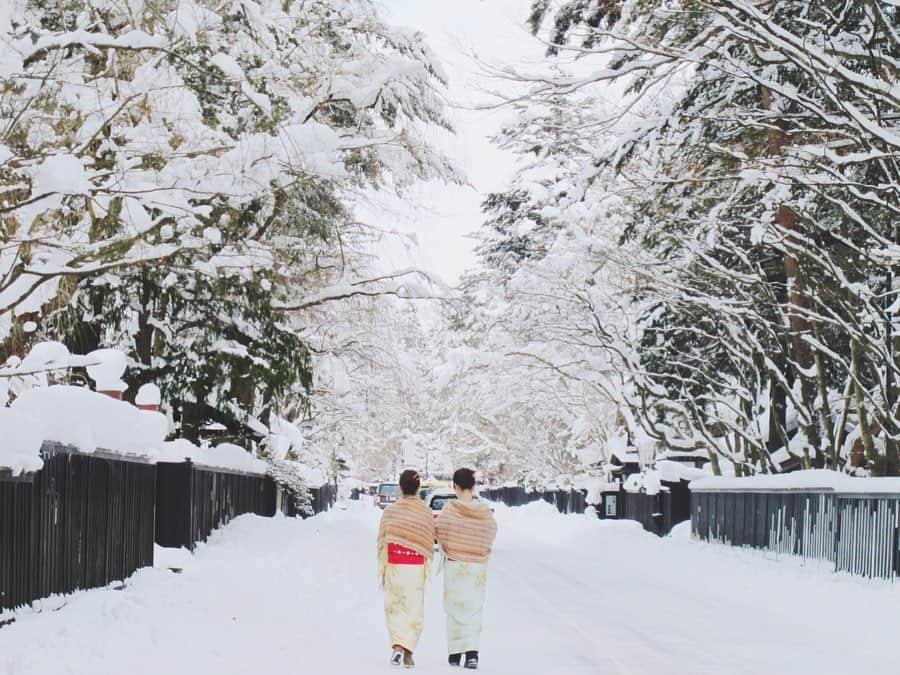 東北女子さんのインスタグラム写真 - (東北女子Instagram)「⠀ 小京都❄️角館的冬天 ⠀ 從櫻花到楓葉都非常美的角館 到了冬天，被雪覆蓋的武家屋敷更為浪漫🥰 ⠀ 寒冷的季節也有溫暖的祭典 2月14日的火振祭 在雪中甩1公尺長的火繩的景象令人震撼👍 ⠀ 相關資訊 @kakunodate.kanko  @semboku_tourism . ⠀  #秋田 #仙北 #仙北市 #角館 #日本 #東北 #日本東北  #火振りかまくら #日本生活 #日本旅遊 #秋田趴趴走 #秋田縣 #下雪  #行くぜ東北 #冬がたり #秋田雪 #冬の東北 #日本雪景 #あきたびじょんた #雪景 #kakudate #冬のごほうびインスタキャンペーン #akita #照片非今年照片」11月27日 12時59分 - tohoku_girl_official