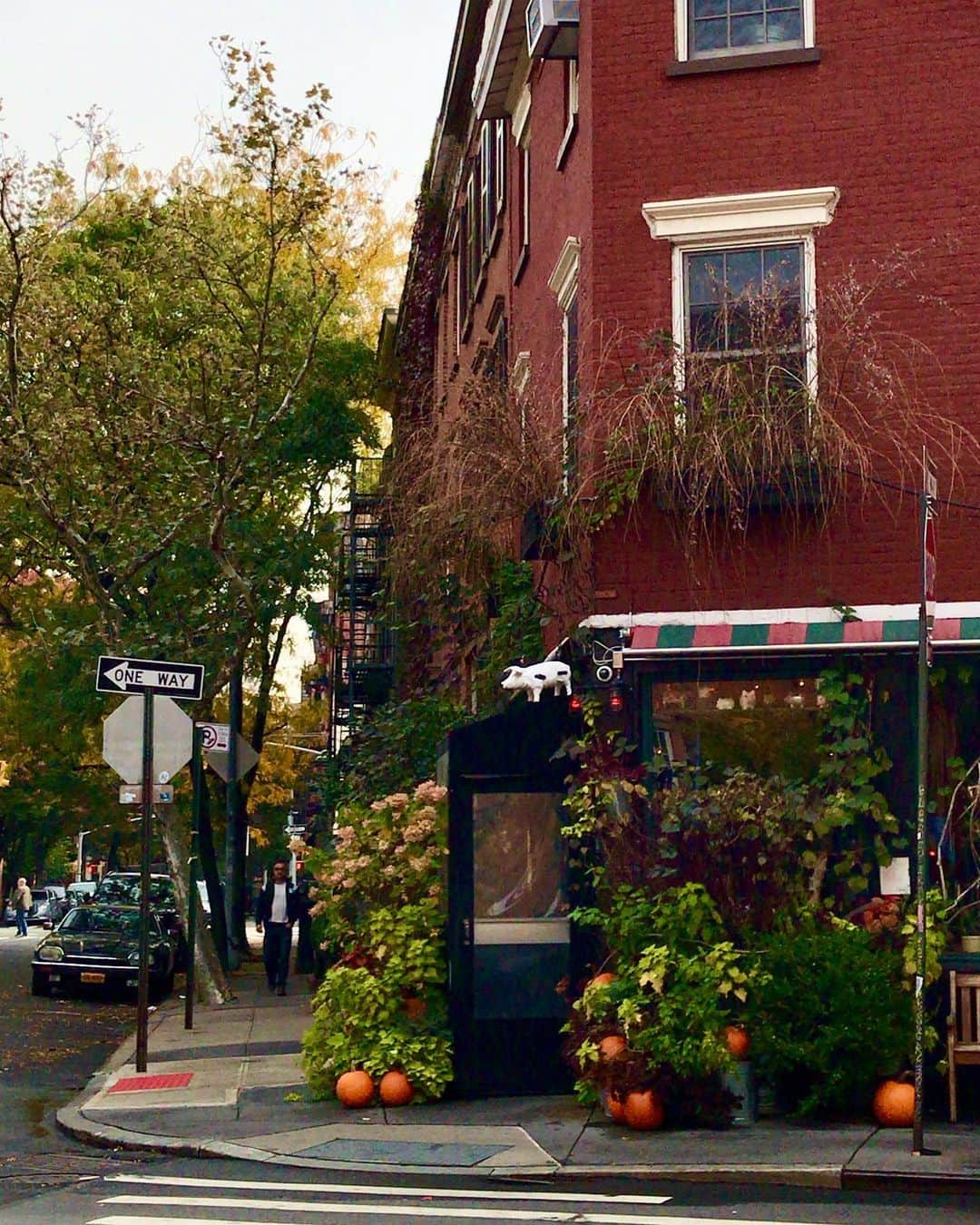 のインスタグラム：「A corner gem that I’ve walked by so many times. A corner that has been my cameras focus. A corner that, in the fall, always have great display of pumpkins. I’ve never been inside or tasted their meals. I’ve always been the person looking at this corner from a distance. I think I need to try this place! Have you been? Do you like? I’m all about discovering...and I think this place needs to be on my list! 🍴 Have a great day before thanksgiving! 🍁🦃 Whether you’re meal prepping and calling in a pizza to get you through the day or you’re going out tomorrow to celebrate ...just hope you guys are enjoying the holiday season!! Hugs! 😁 🧡 . . . . . . . @thespottedpig #westvillage #thespottedpig #facade #facadelovers #coffeecakescafe #prettycitynewyork #cafevibes #travelerinnewyork #onlyinnewyork #newyork_ig #newyork_instagram #made_in_ny #loves_nyc #what_i_saw_in_nyc #newyorkarea #timeoutnewyork #mysecretnyc #seeyourcity #coffeeshopvibes #cafehopping #thisisnewyorkcity #nycityworld #storefrontcollective #passionpassport #westvillagelife #streetview #greenwichvillage  #theprettycities #streetsofnewyork #autumninnewyork」