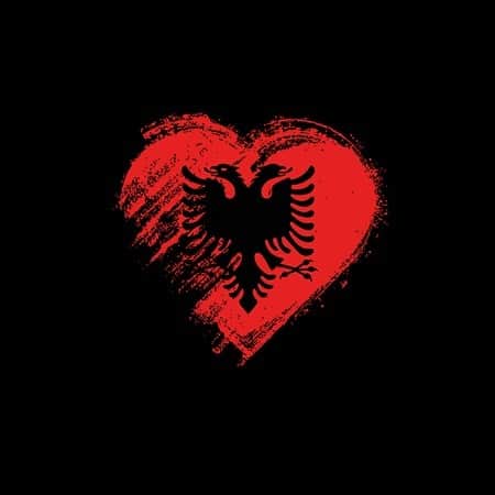 エリザ・ドゥシュクのインスタグラム：「Shqiperia, te dua ♥️ To everyone affected by this devastating earthquake, we are sending all of our love & prayers & gathering assistance, right away... stay strong. We are with you 🙏 #albania 🇦🇱」