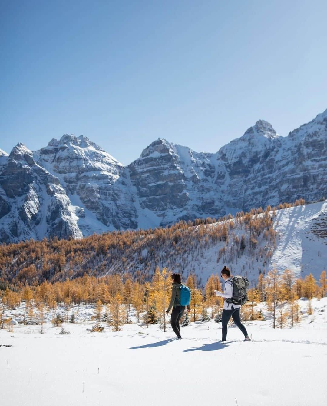 REIさんのインスタグラム写真 - (REIInstagram)「"I don’t think it matters what time of year it is, the mountains are beautiful and no doubt the best place to be." // @spitzer_hikes in Banff National Park, #Canada. #OptOutside」11月27日 23時35分 - rei