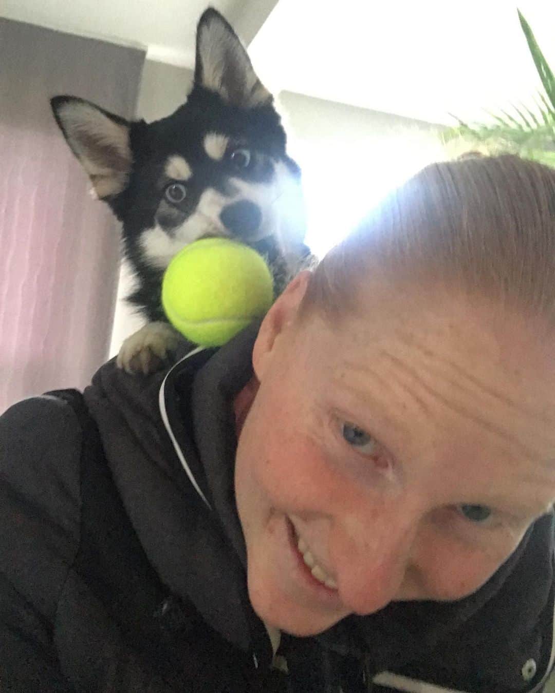 アリソン・バン・アイトバンクさんのインスタグラム写真 - (アリソン・バン・アイトバンクInstagram)「When he knows I like tennis 😍 #playingtime #balto #fun #dog」11月27日 23時40分 - alison_van_uytvanck