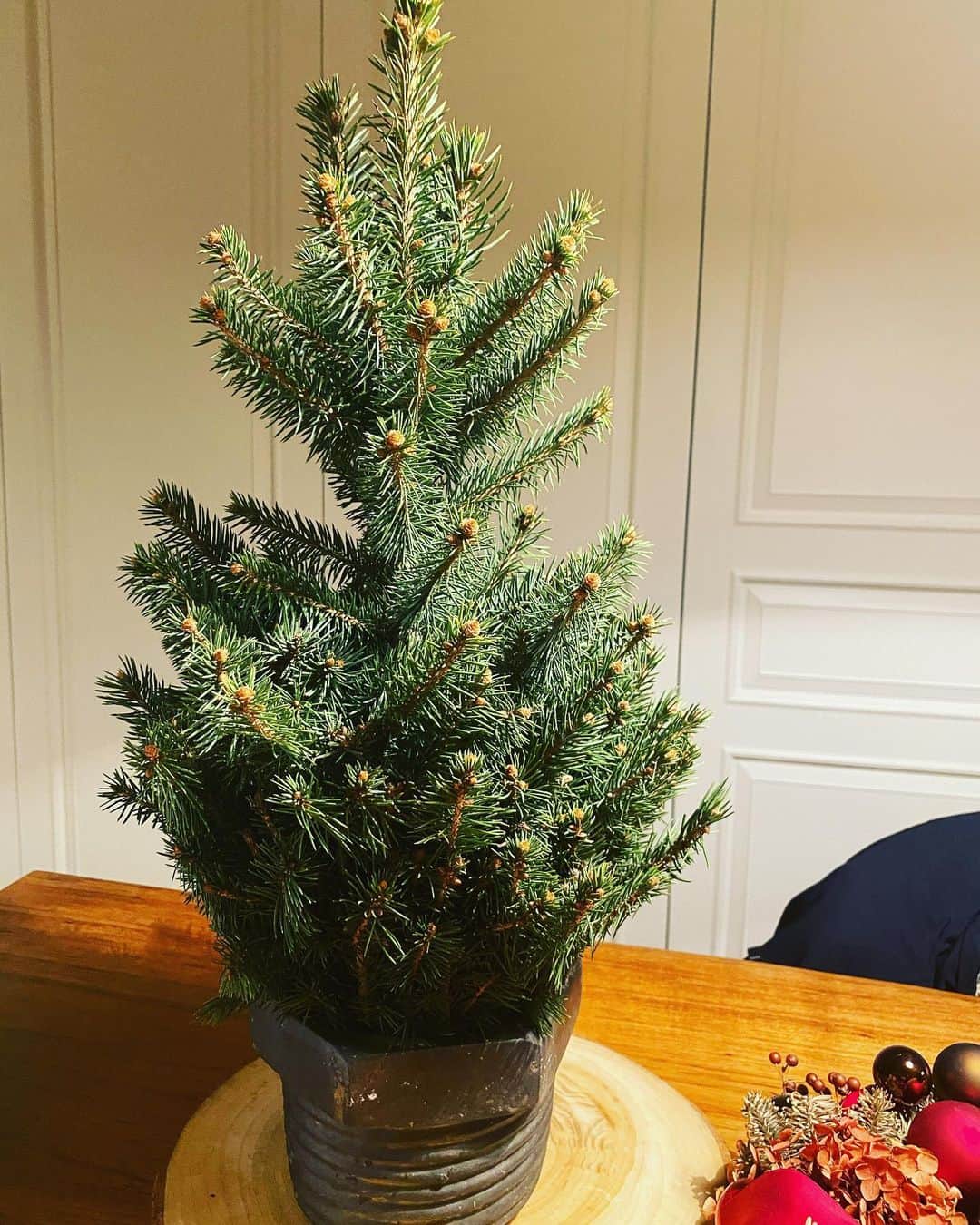 Grace葛瑞瑞さんのインスタグラム写真 - (Grace葛瑞瑞Instagram)「訂了顆很迷你的聖誕樹 來了4天了我還沒給她點裝飾🤪 #餐桌上的一角🤪」11月27日 23時56分 - yungingrace