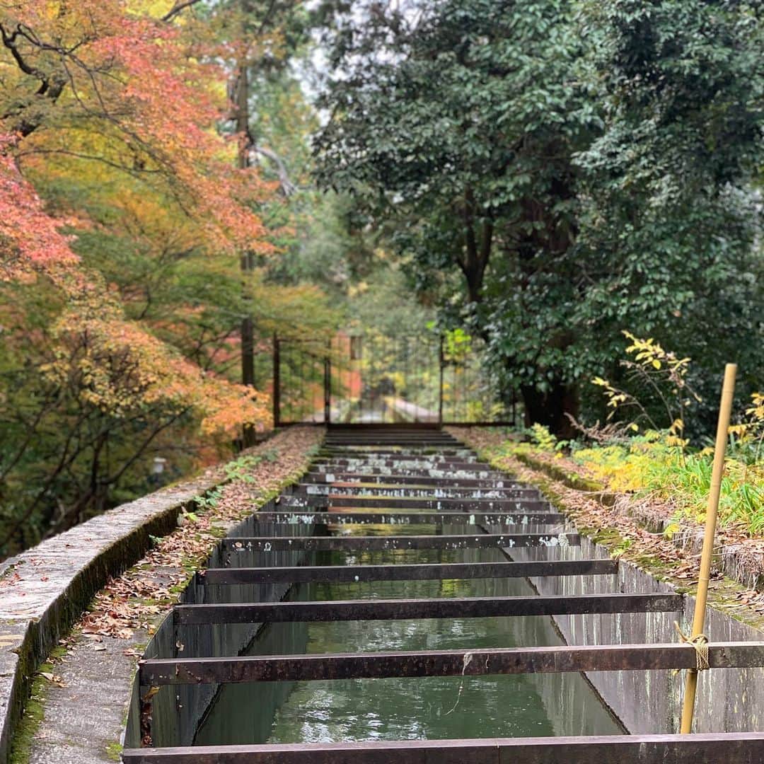 崎山一葉さんのインスタグラム写真 - (崎山一葉Instagram)「南禅寺水路閣  南禅寺の境内にかけられている橋。 この橋、琵琶湖に繋がる水路なんです😳  琵琶湖の水を引くことで、新しい工場を興したり、水力発電で路面電車が走ったとのこと。  現在も京都に琵琶湖の水を供給しているなんて、京都の生命だなぁと感じる歴史と文明開化の香りがしました🤭  #japan #kyoto #京都 #水路閣」11月27日 23時58分 - kazuha_sakiyama