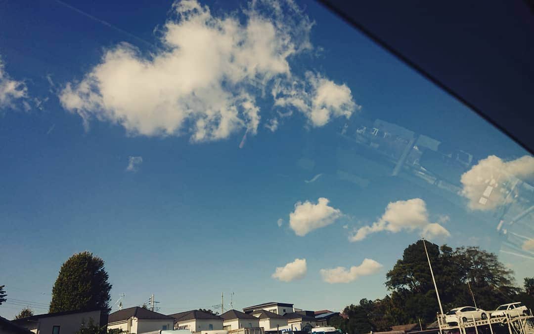 松坂南さんのインスタグラム写真 - (松坂南Instagram)「こちらは、祖母の一周忌の日  1年前、葬儀の日も晴れてたなぁ…」11月28日 0時17分 - minami_matsuzaka