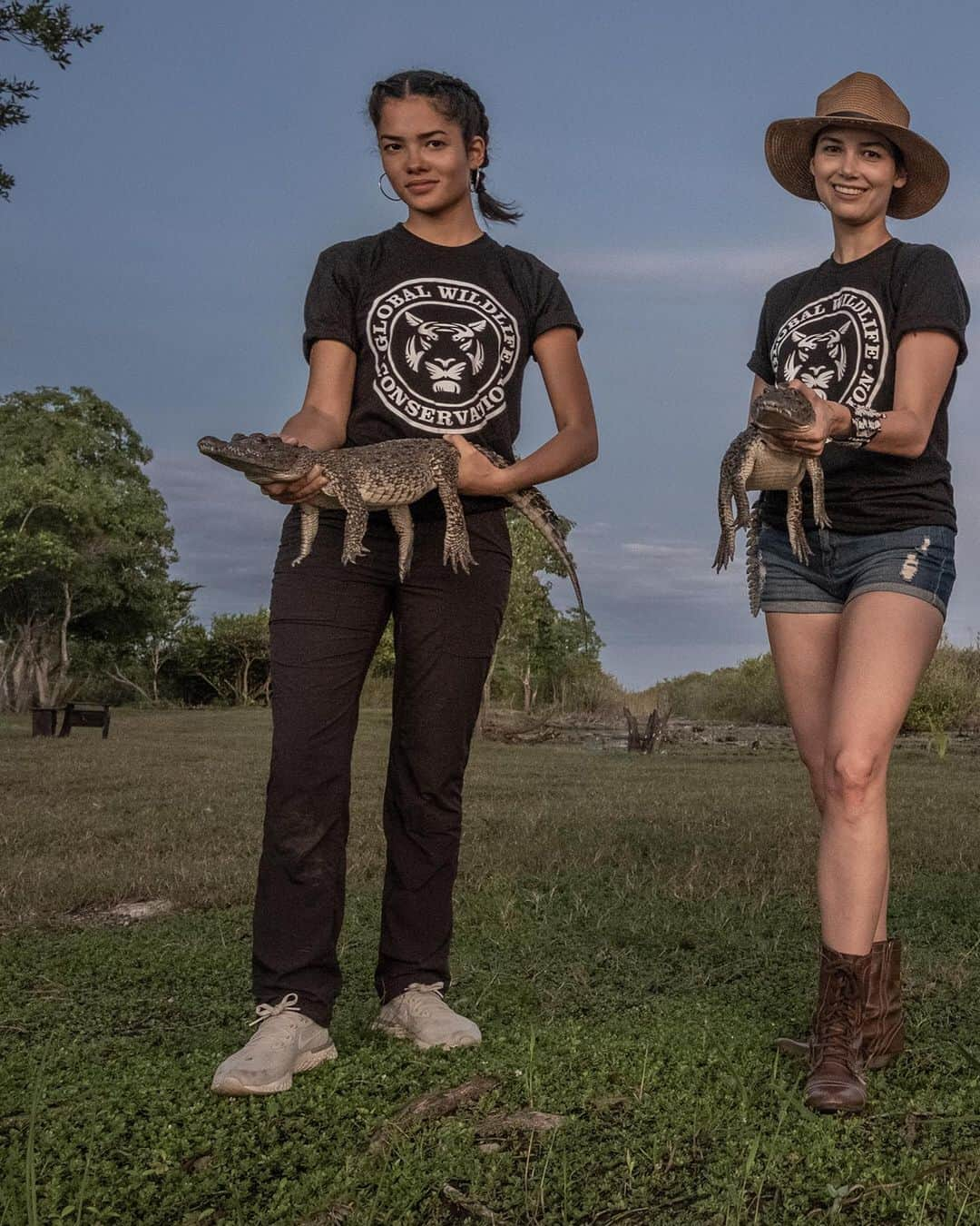 レオナルド・ディカプリオさんのインスタグラム写真 - (レオナルド・ディカプリオInstagram)「Fresh hope for the Critically Endangered Cuban Crocodile, as @global_wildlife_conservation joins @TheWCS and Cuban partners to release 10 young captive Cuban Crocodiles into the wild.  For thousands of years, Cuban Crocodiles thrived in the Zapata Swamp, the largest coastal wetland in the Caribbean Islands, but unchecked hunting decimated their numbers to some 3,000 in the wild today.  Not only are these top predators vital for keeping the food chain in check, but they are also important ecosystem engineers that shape and maintain mangrove ecosystems by excavating underwater caves and canals.  Today they are threatened by hunting, habitat destruction, and hybridization with American Crocodiles in areas where the two species have been forced into closer proximity.  Losing the Cuban Crocodile would have significant repercussions both ecologically and culturally.  Fortunately, a captive breeding sanctuary was established in Zapata Swamp in 1959, providing an important reservoir for reestablishing the crocodile in the wild. A dedicated team is now working to bring the Cuban Crocodile back from the brink through a program of reintroduction, monitoring, and education.  Follow @global_wildlife_conservation to learn how you can join these efforts.  Photos by @robindmoore」11月28日 0時17分 - leonardodicaprio