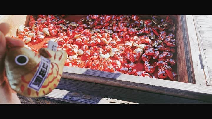 仮眠玲菜のインスタグラム：「#盛岡八幡宮  #鯛みくじ  #大吉」