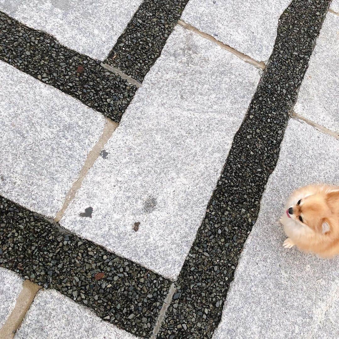 黒田絢子さんのインスタグラム写真 - (黒田絢子Instagram)「みーっけ❤︎」11月27日 17時06分 - ayakokuroda_official