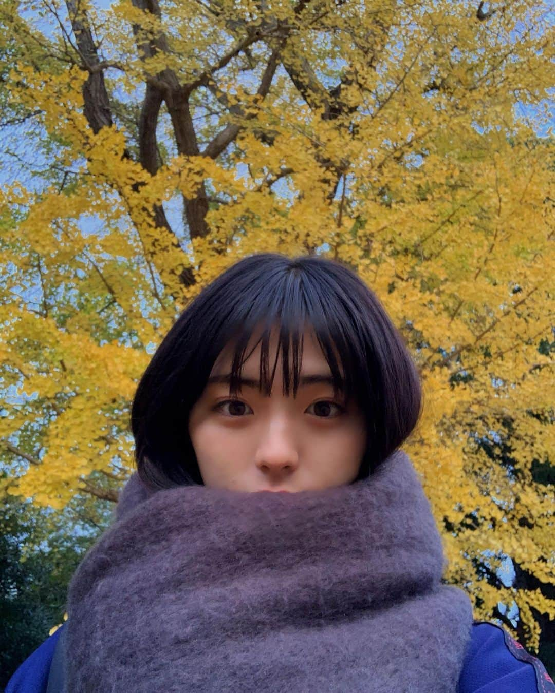 井手上漠さんのインスタグラム写真 - (井手上漠Instagram)「秋の終わりを感じます☺️」11月27日 17時03分 - baaaakuuuu