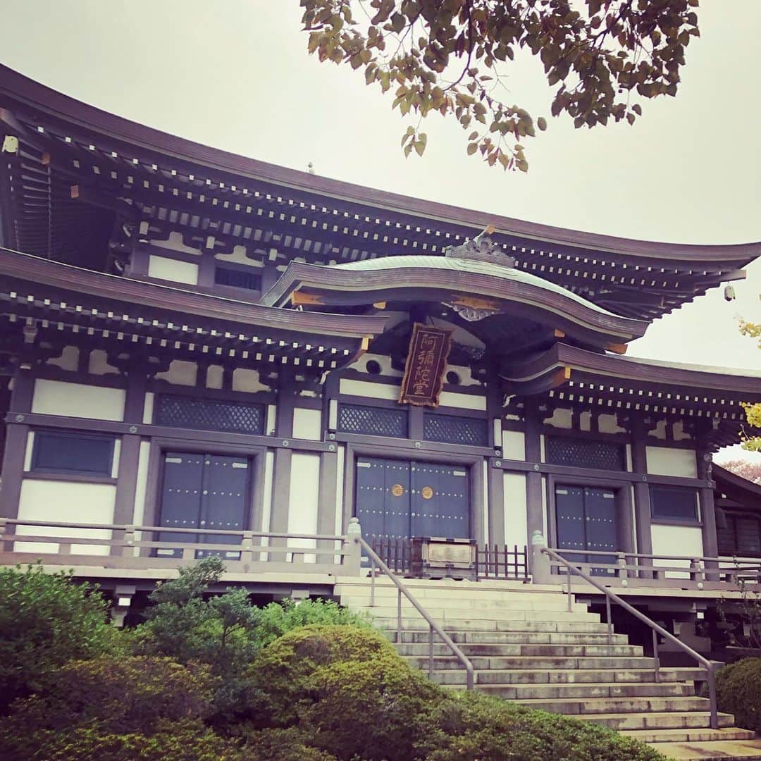 武藤昭平のインスタグラム