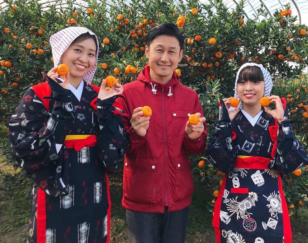 下山英哉さんのインスタグラム写真 - (下山英哉Instagram)「桜島小みかん娘たち🍊  世界一小さいみかんも 収穫スタート^_^  キャッチフレーズは みかんは小粒でも甘さは大粒  #桜島小みかん #世界一小さいみかん #甘さがギュッと  #今年は平均糖度12度 #160トン出荷予定 #初競は12月2日 #桜島小みかん娘 #柑橘 #mbctv #mbc1ch #下山英哉 #kagoshima #orange  #theworldssmallest #theworldssmallestorange」11月27日 18時07分 - shimoyama.hideya